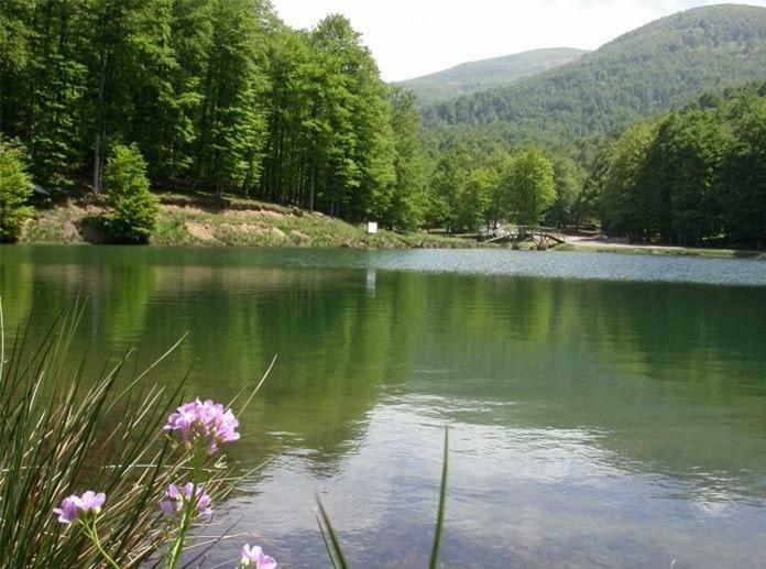 Gite Botiga Saint-Jean-le-Vieux  المظهر الخارجي الصورة